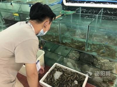 资阳开展冰鲜海鲜市场大检查 暂未发现北京“新发地”货源