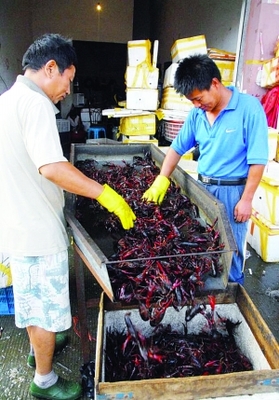小龙虾全面开市 南昌人一天吃掉10万斤小龙虾